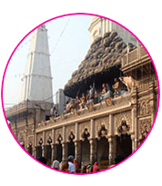 Shri Shyam Prabhu Tour and Travels, Mathura 