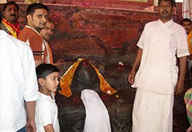 Shri Shyam Prabhu Tour and Travels 